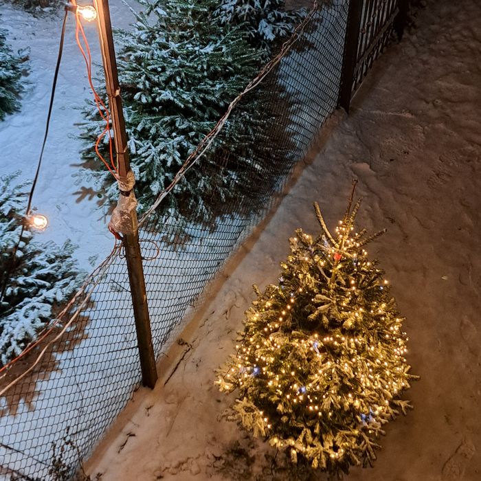 Choinki, jemioła, wianki, choinki ręcznie eobione