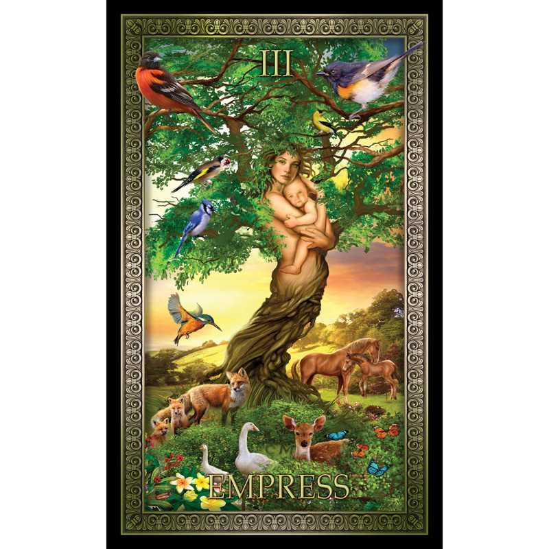 Wróżka Zahira - Magia i Tarot – Konkretna Pomoc, Skuteczne Wskazówki