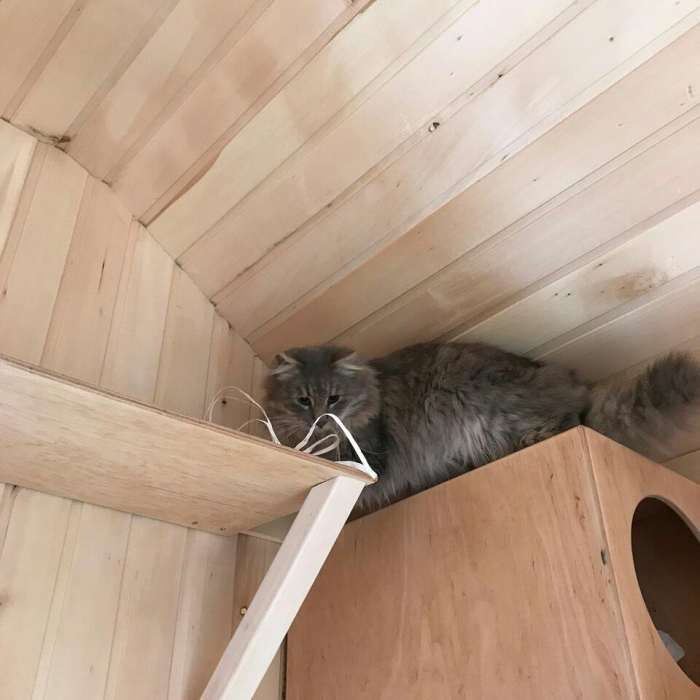 Изготовим кошкин дом