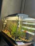 Akwarium z rybkami 100L
