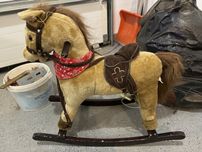 Konik na biegunach