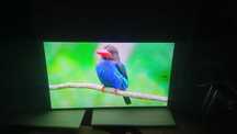 55 дюймов Qled Офіційний Samsung 55Q60DAUXUA  Smart WI-FI T2S2  HDR