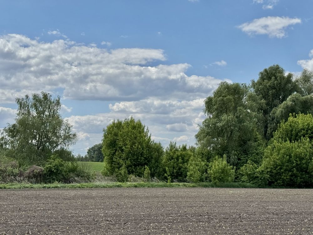 Земельна ділянка. 24 га!!! Вороньків