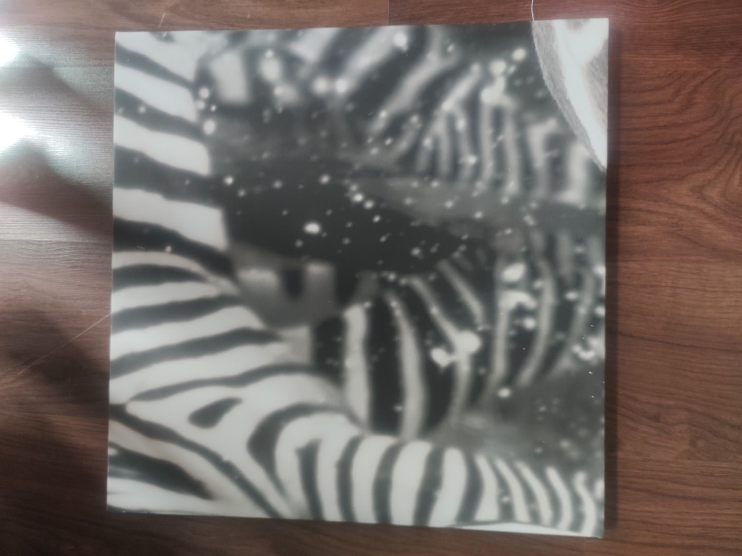 Obraz tryptyk 3 kwadraty czarno biały zebra