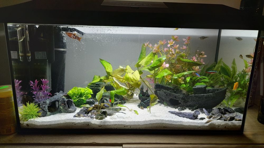 Akwarium aquel 60l