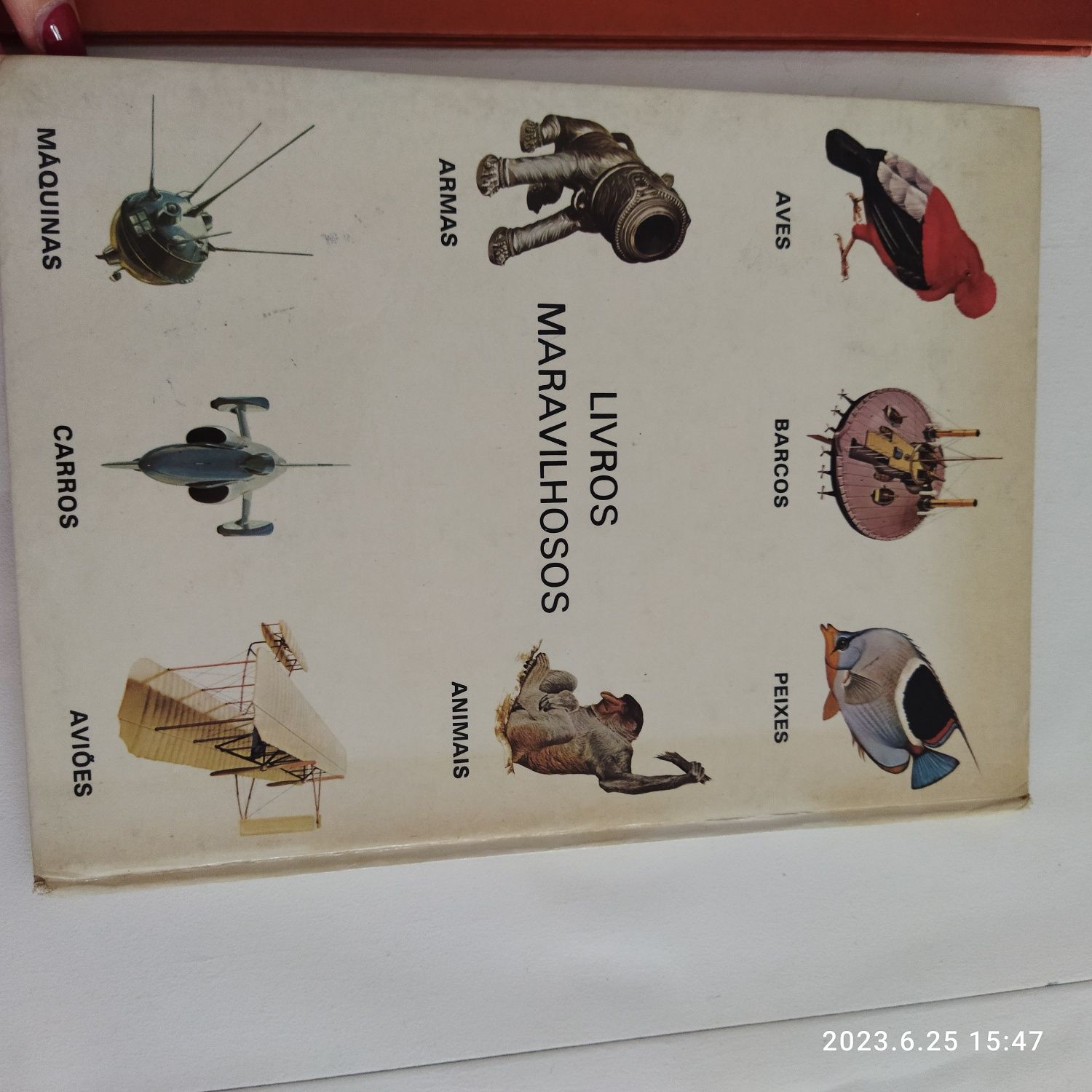 Os insetos/livros maravilhosos animais