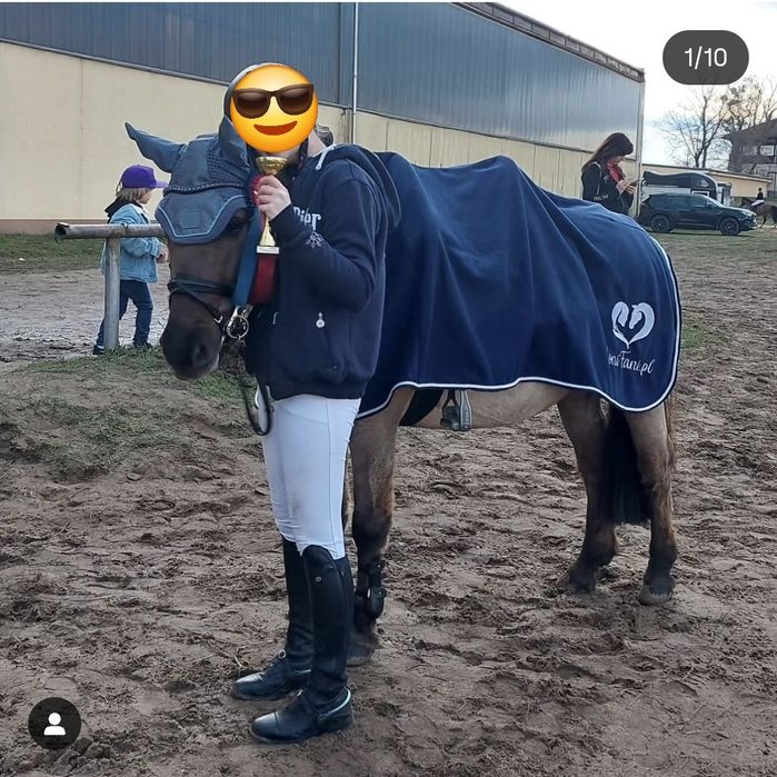 Kuc C Grupa do sportu, ambitnej rekreacji