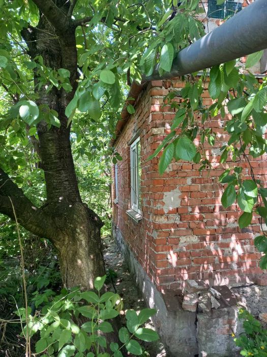 Продам дачний будинок в Дубово