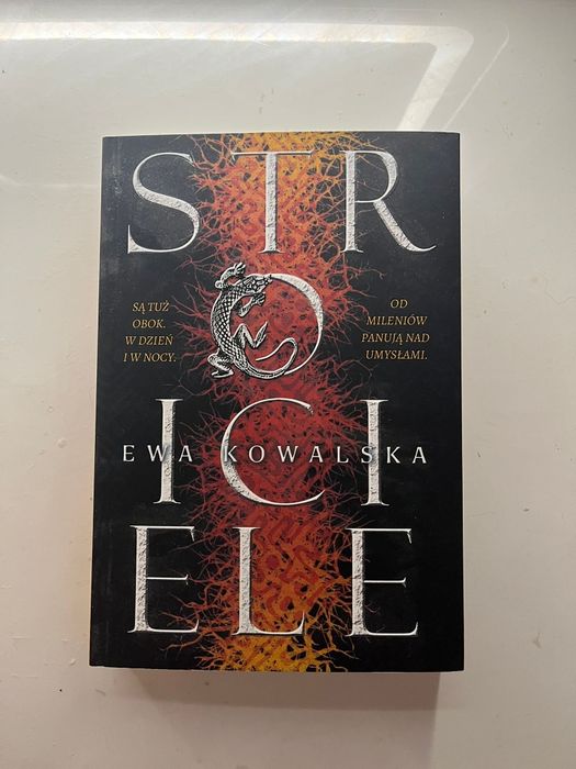 Stroicicele książka