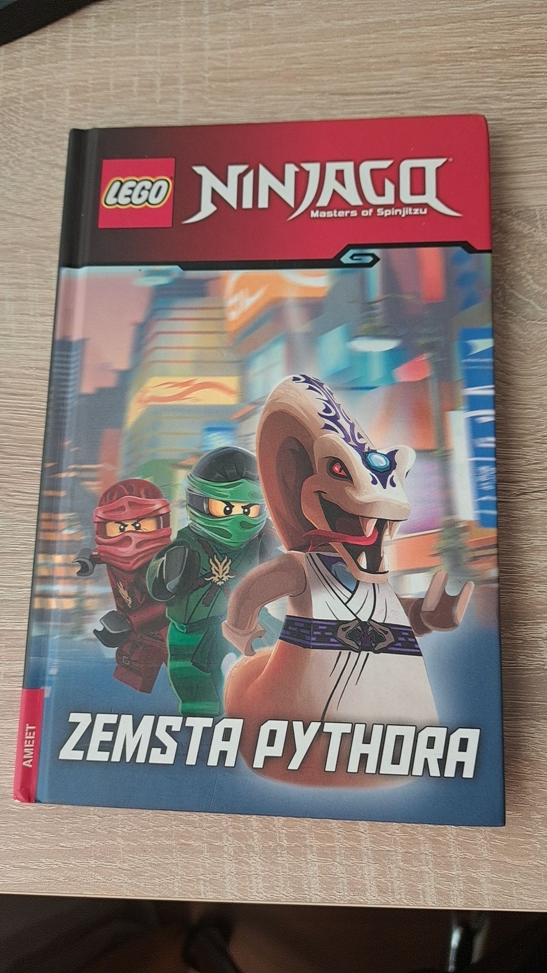 książka lego ninjago