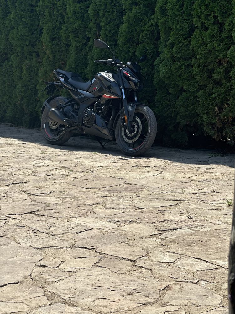 Bajazh pulsar ns250