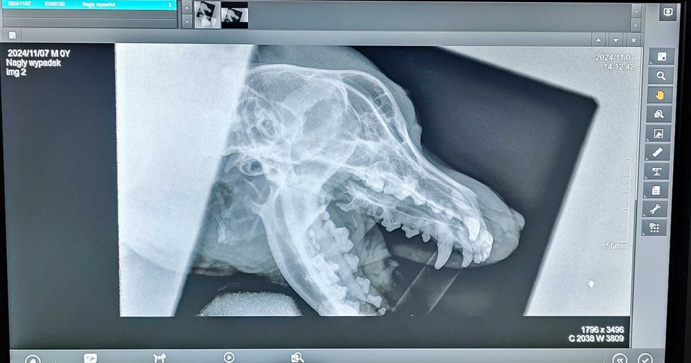 SKANER CR RTG Fire cr+ w bardzo dobrym stanie