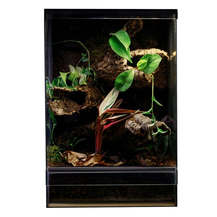 Terrarium tropikalne 40x40x60