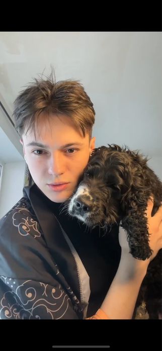 Грумер - стрижка собак (Універсал) Виїздний грумінг,  (Грумер на Дом)