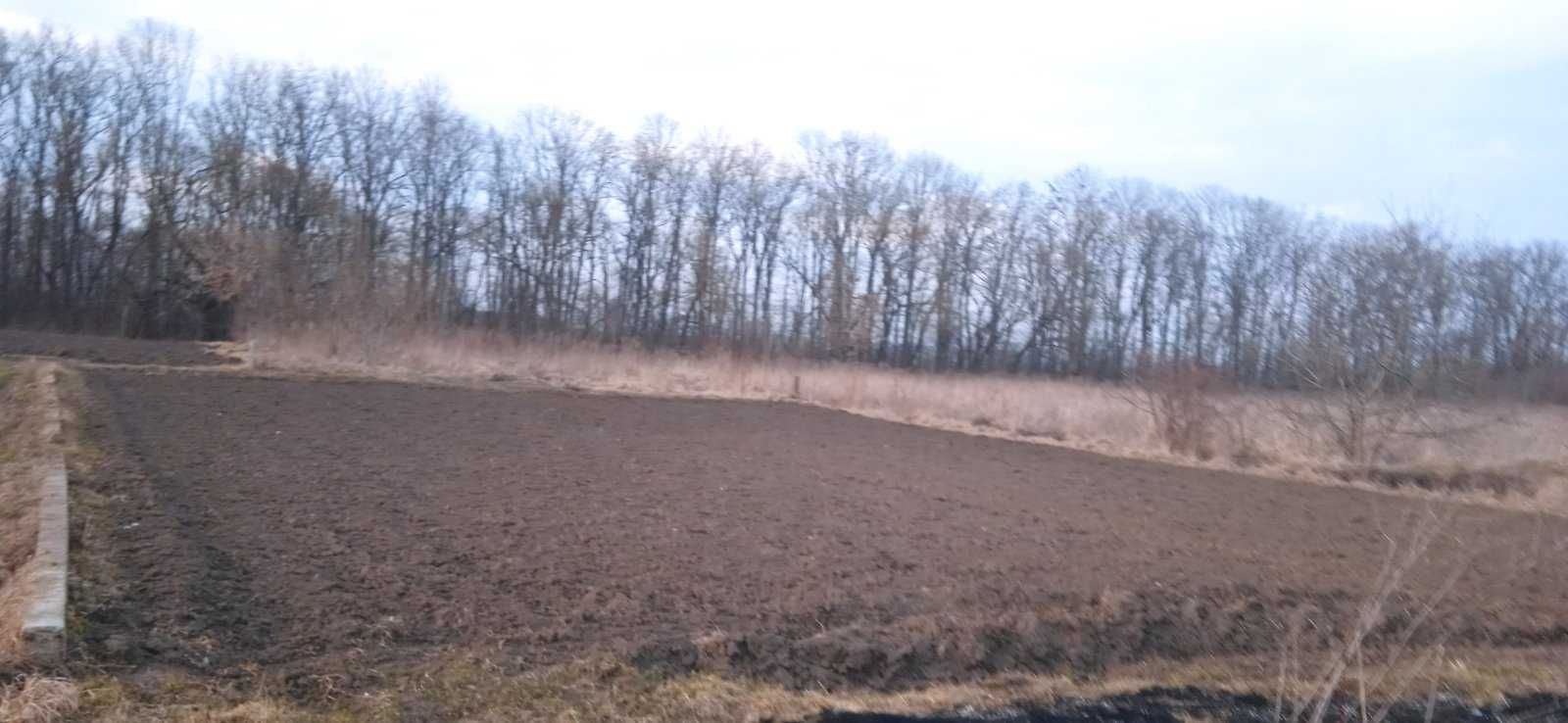 Продаж земельної ділянки