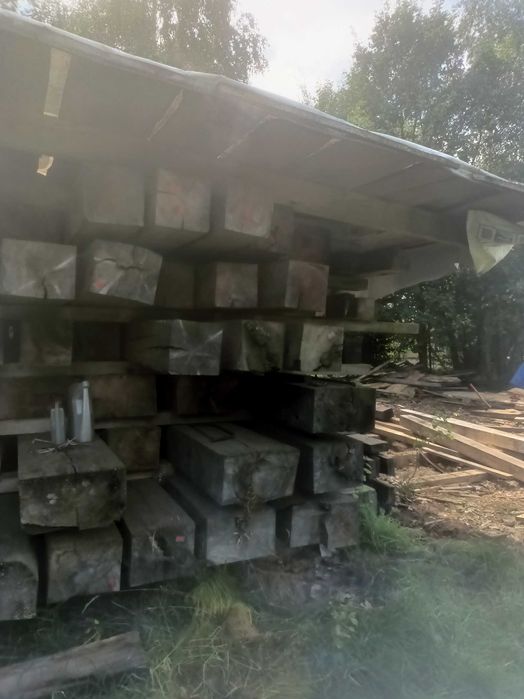 Belki jodłowe suche