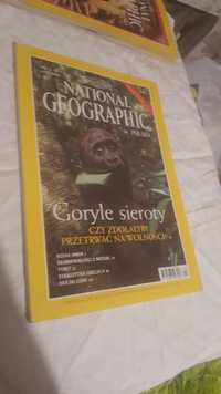 National Geographic Polska 2 2000 Goryle sieroty