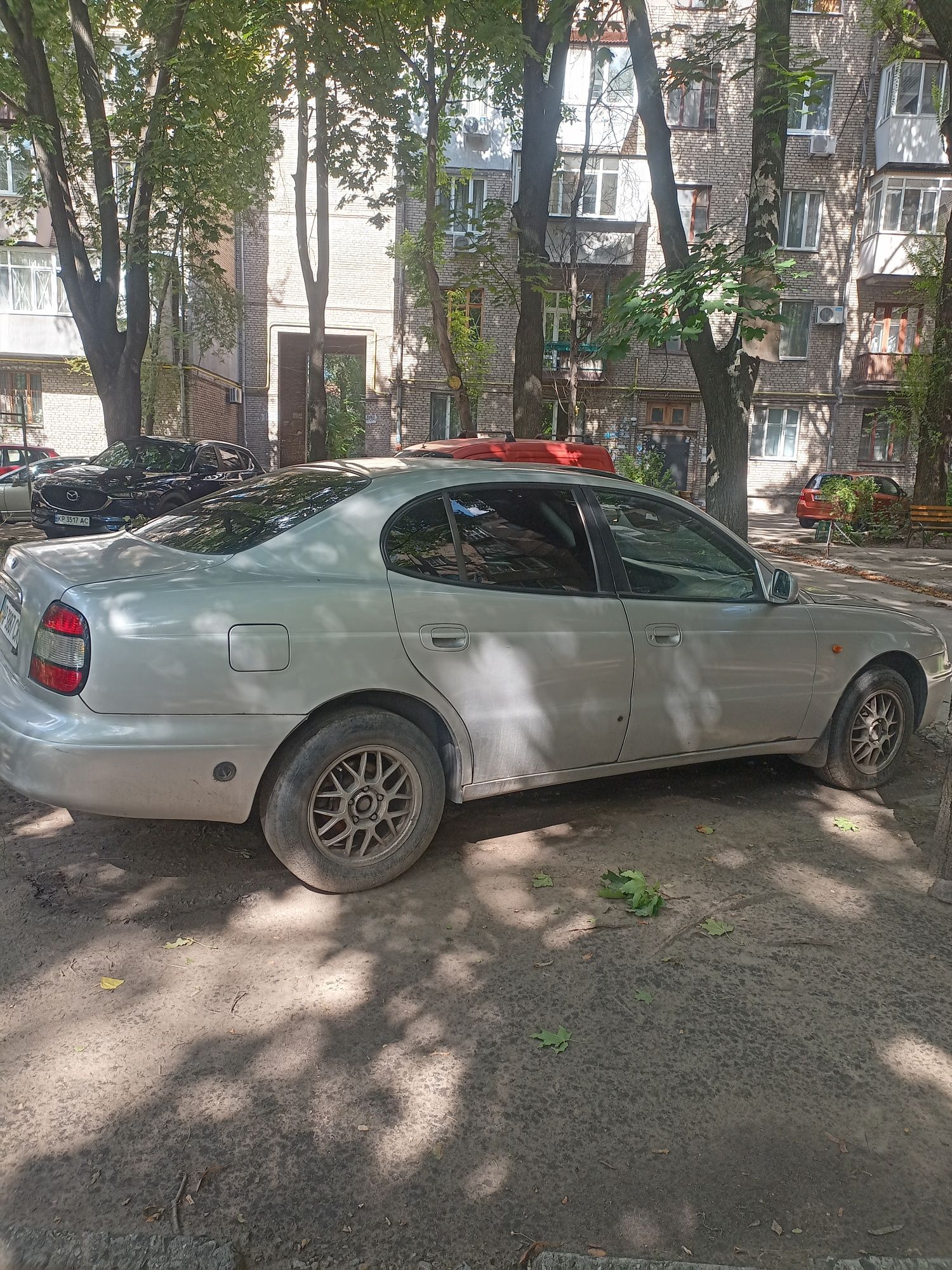 Леганза у гарному стані