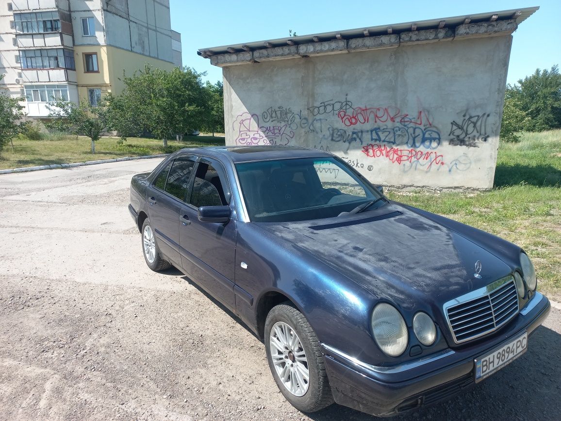 Продам лупатого или обмен.