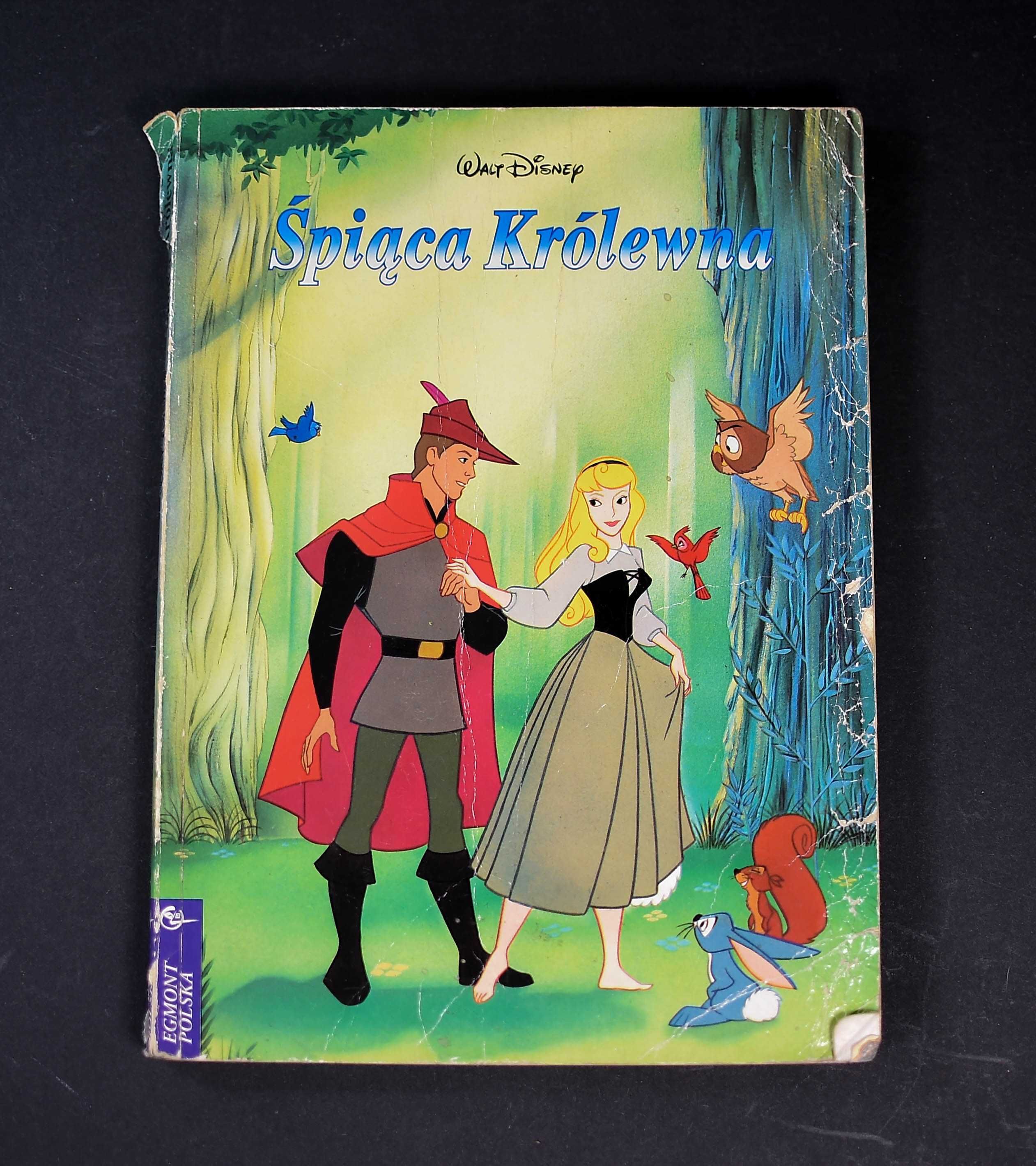 Książka # Śpiąca Królewna - Walt Disney B5