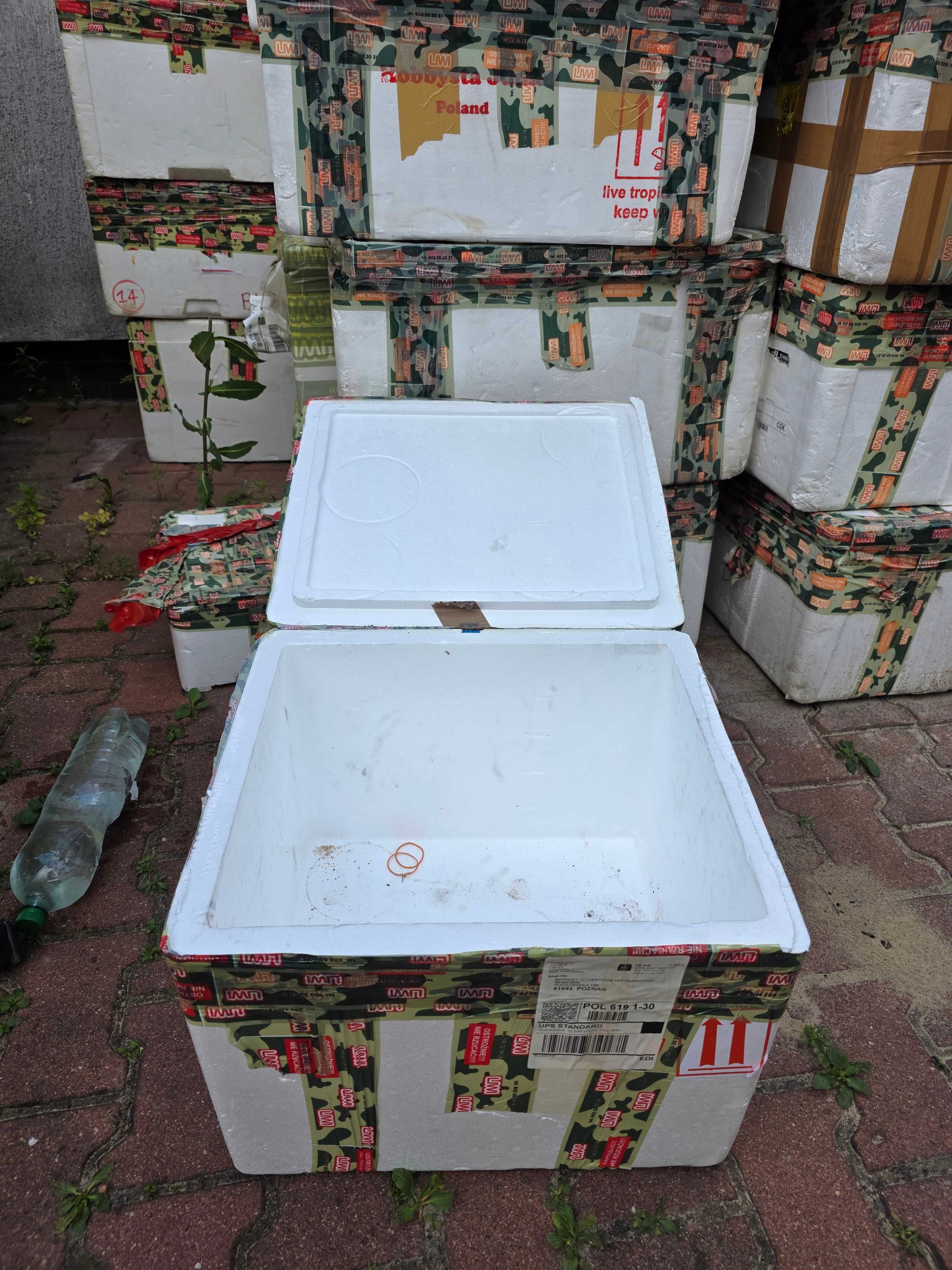 BOXY Styropianowe Oddam za darmo