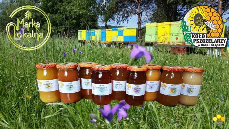 Miód Rzepakowy Mniszkowy Spadziowy Akacjowy Gryczany inne Duży słoik