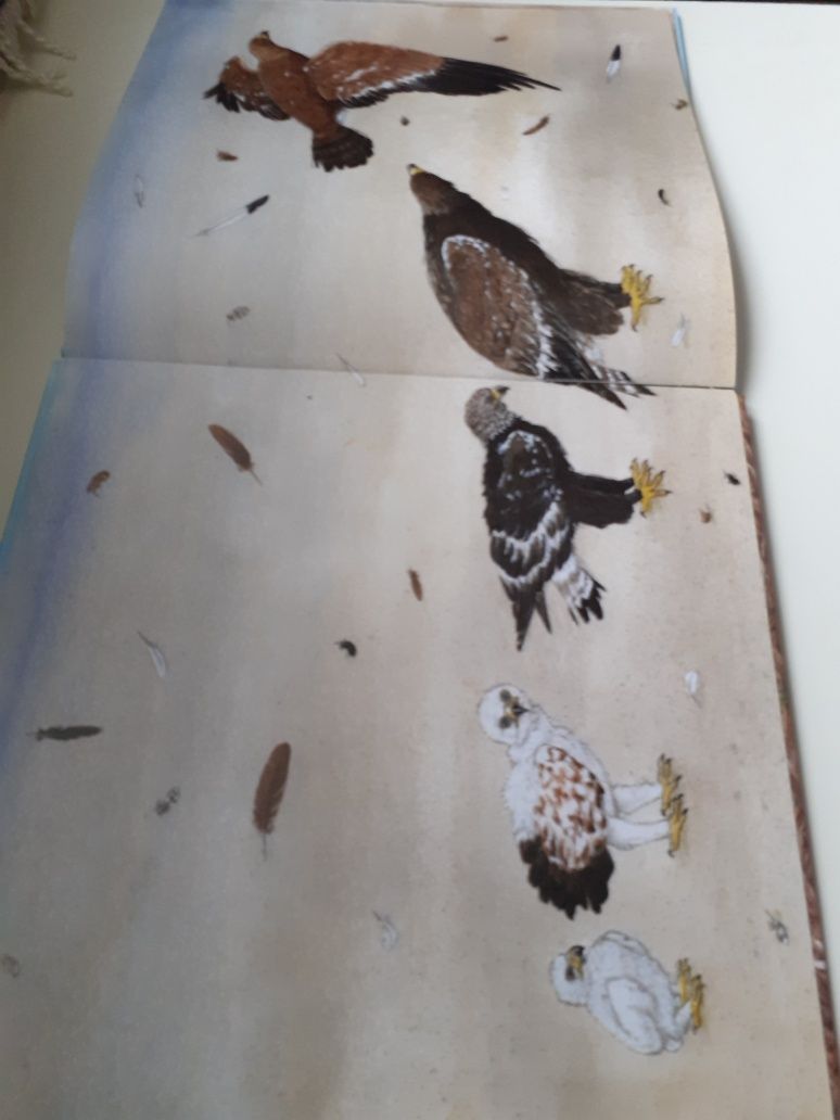 Orzeł NOWA książeczka edukacyjna przykład foto że środka cała o orłach