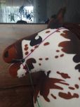 Ogłowie dla hobby horse