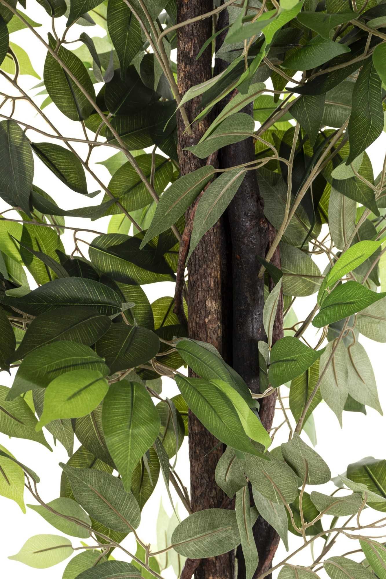Figowiec benjamina duża roślina drzewko dekoracyjne LED 198cm 176832