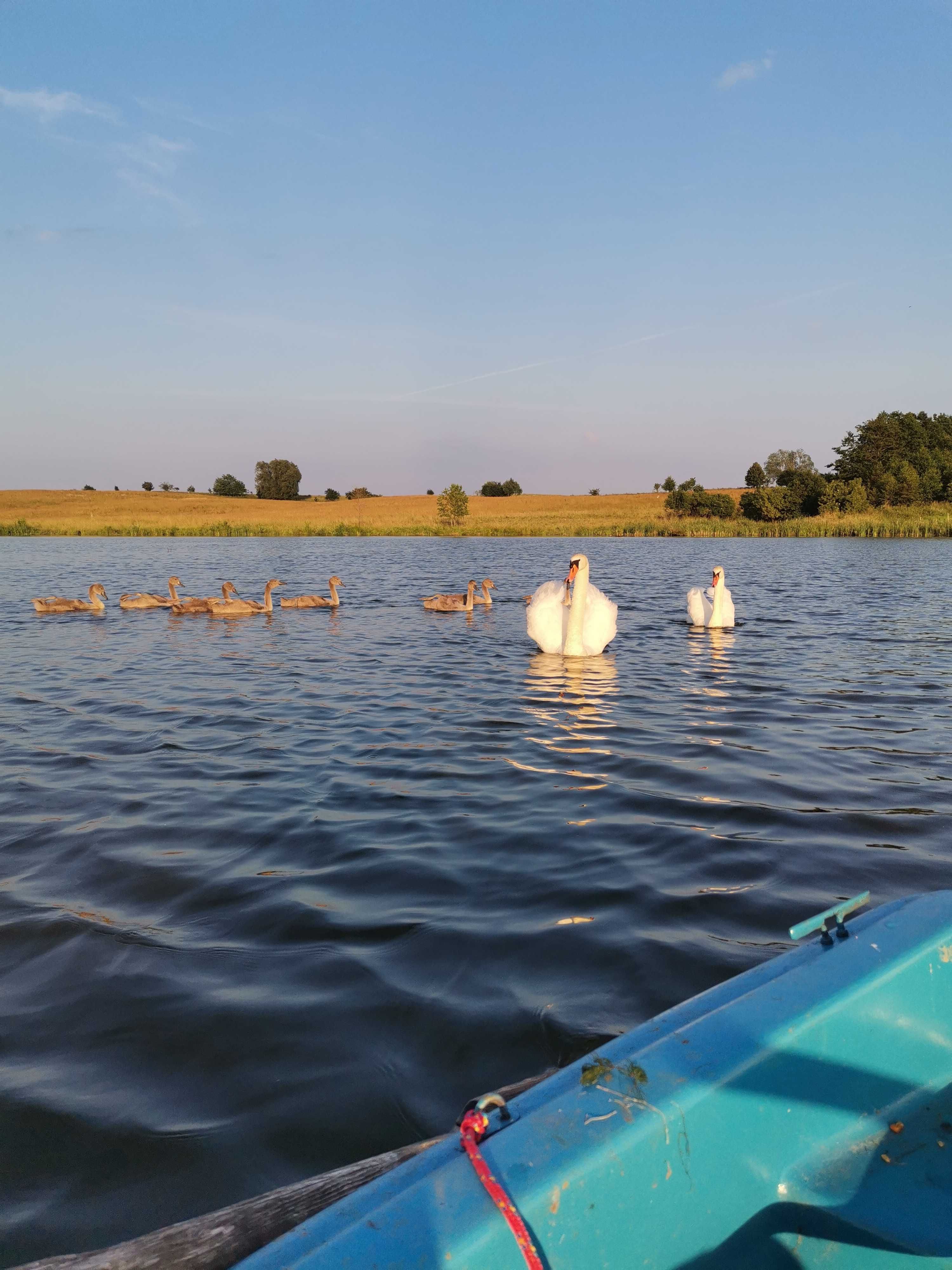 Domek Nad Stawem 6 osób Mazury,  łowisko, sauna