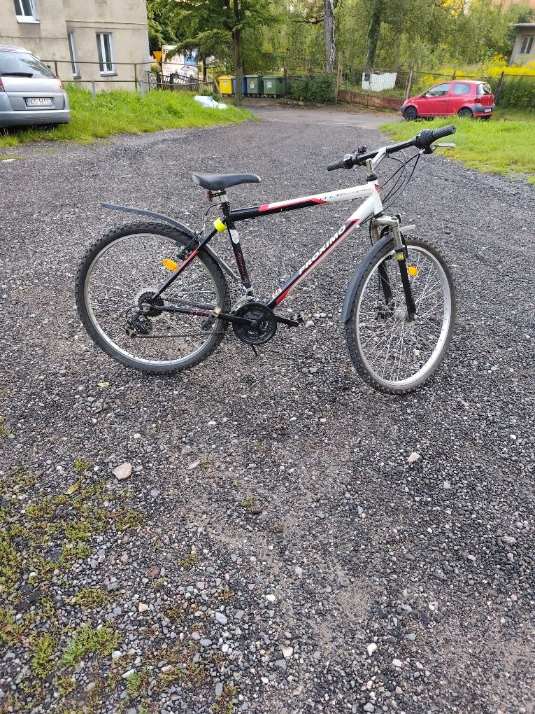 Rower MTB Proximo 26 koła, biało czerwony