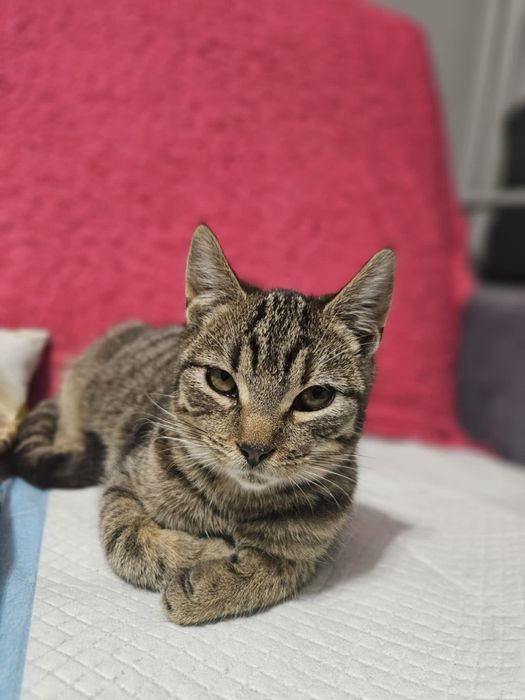 Miał być dom, zrezygnowali ze mnie