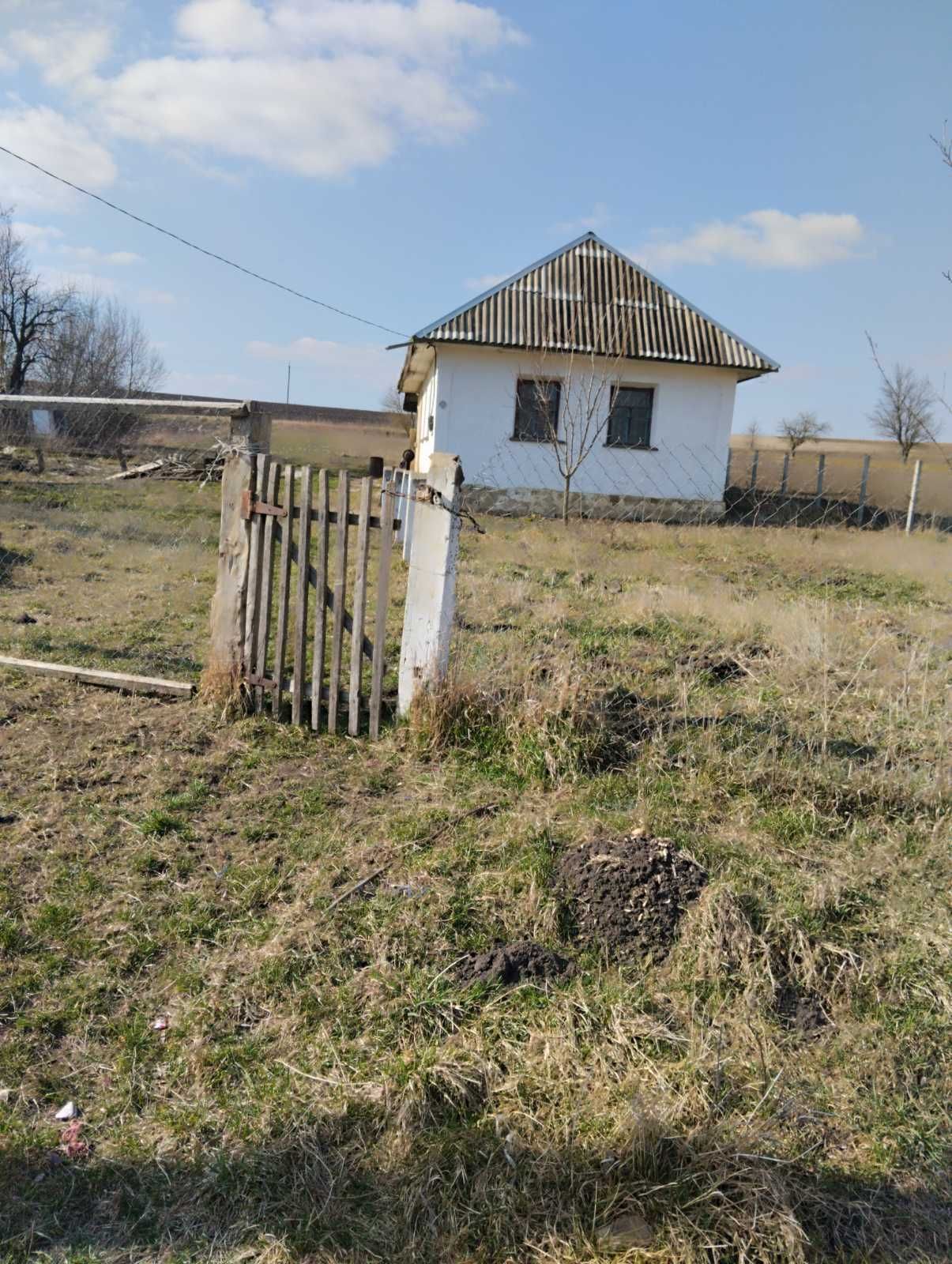 Подається будинок