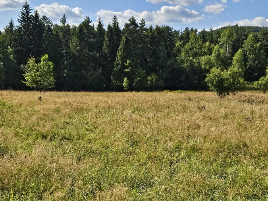 Działka budowlana w Beskidach