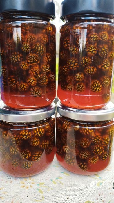 Варенье из сосновых шишек 2025