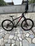 Bicicleta Berg TrailRock 29'