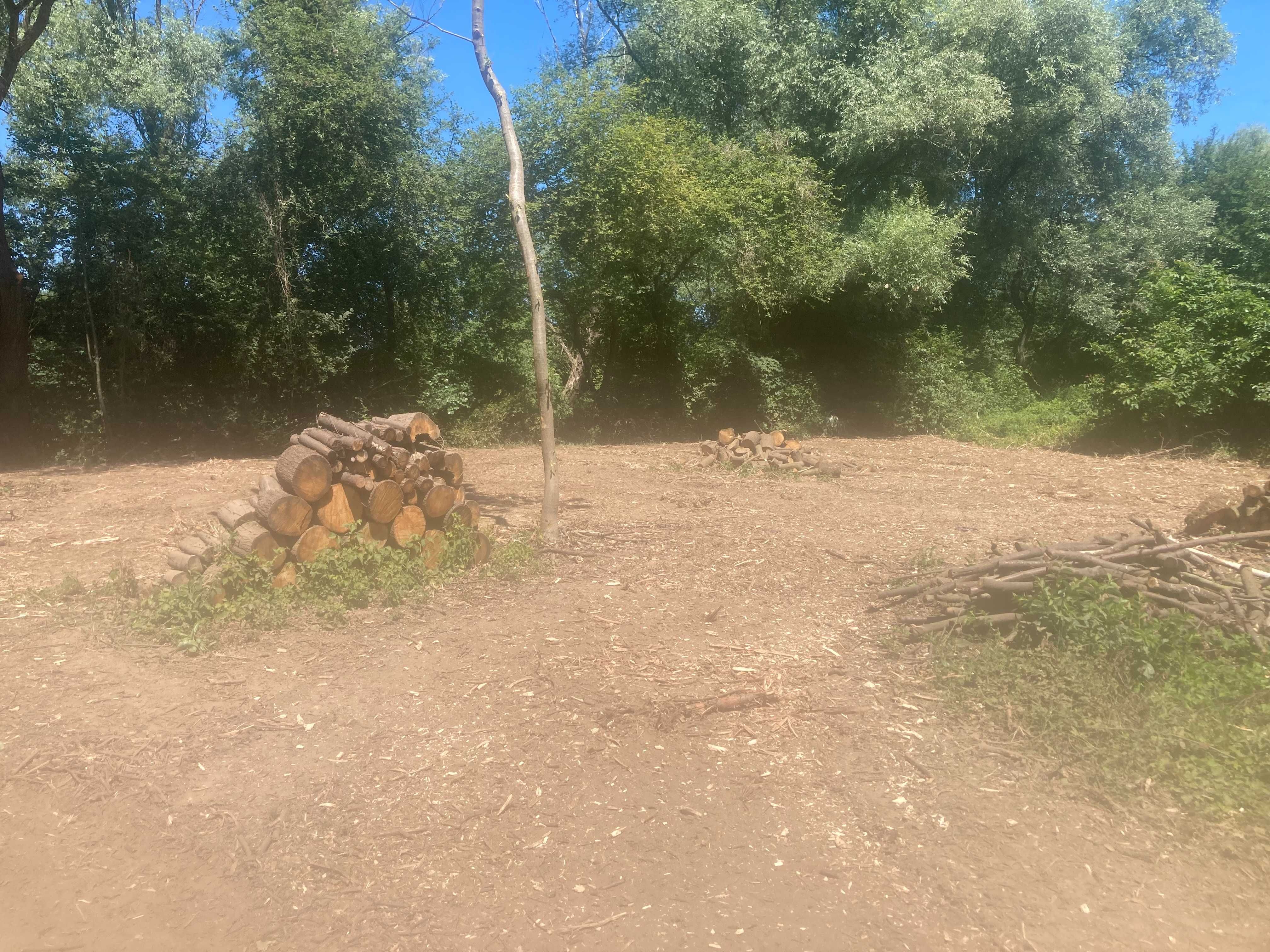 Karczowanie, czyszczenie działek, rekultywacja gruntów, mulczer leśny
