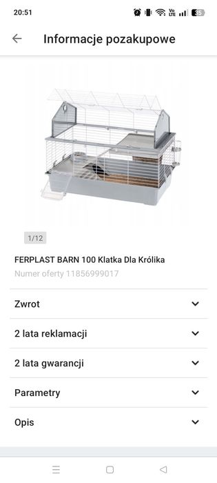 Świnka morska samiczka skinny łysa