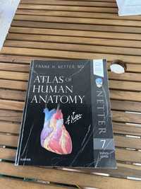 Atlas Netter Medicina Humano Livro de Anatomia 7ª Edição