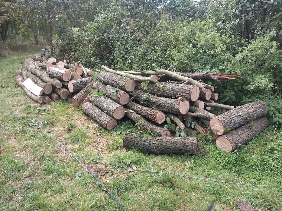 Sprzedam drewno kominkowke opałowe dąb 210 1m3