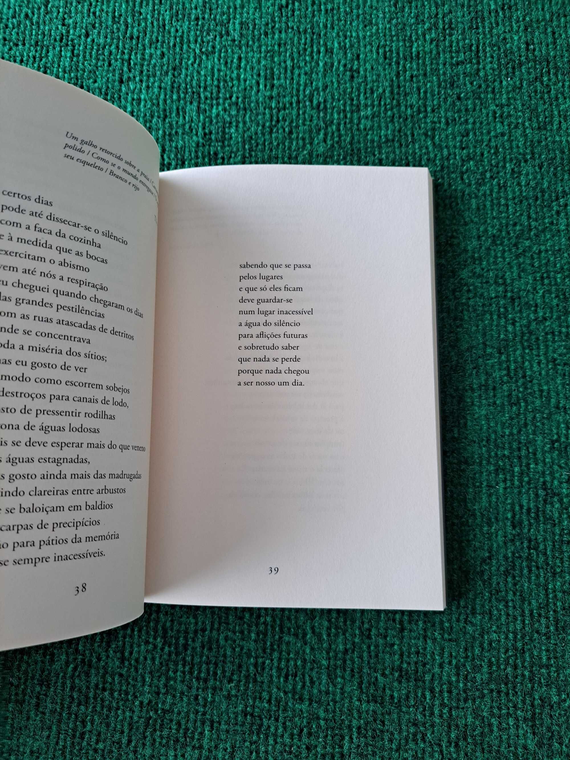 Memórias da Casa da China e de Outras Visitas - Manuel Afonso Costa