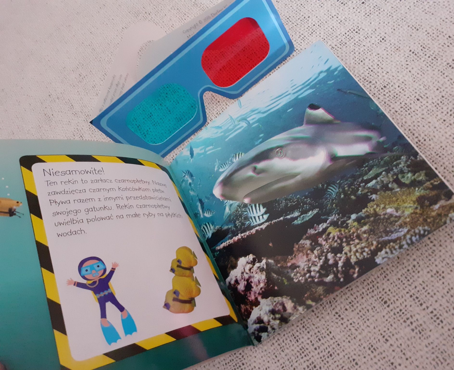 Książeczki dla dzieci o morzu zwierzętach malowanka okulary 3D