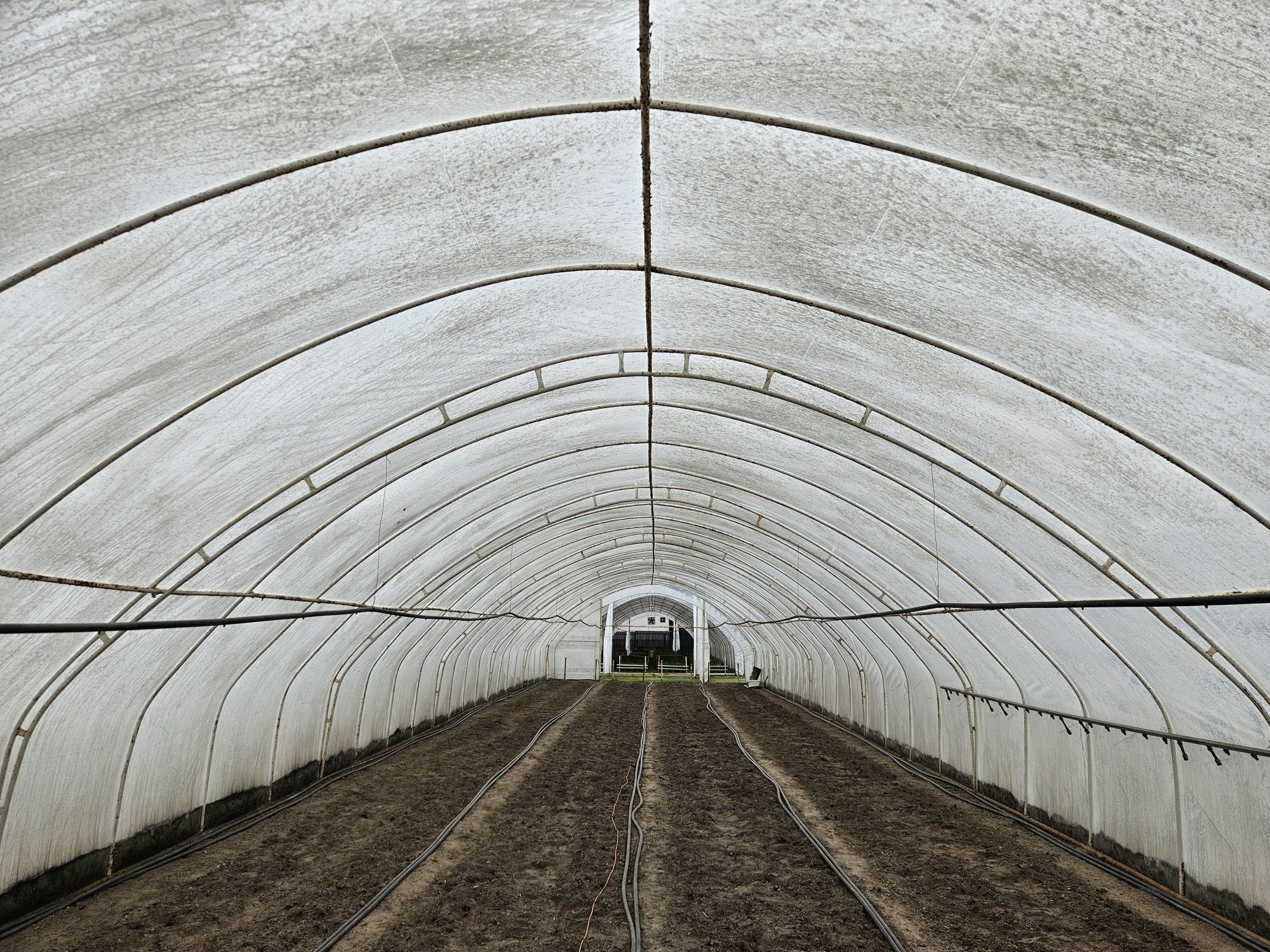 Foliowy tunel typu cebulice