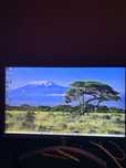 LG UHD Monitor 4K