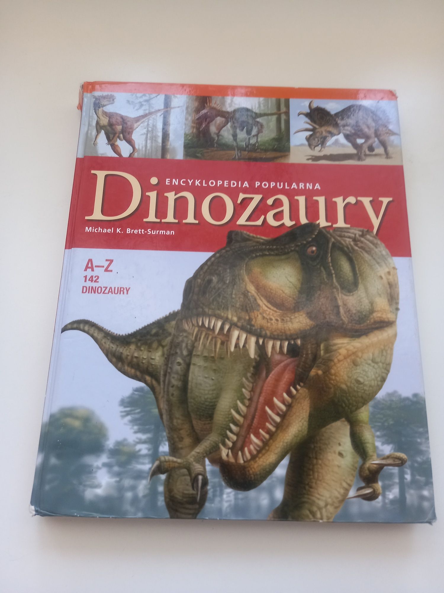 Zestaw dinozaurów