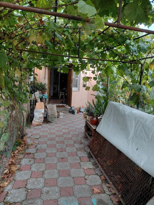 Продам будинок в Боровій