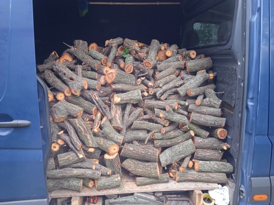 Обрезка ,спил деревьев,цена договорная,бесплатный спил деревьев,дерева