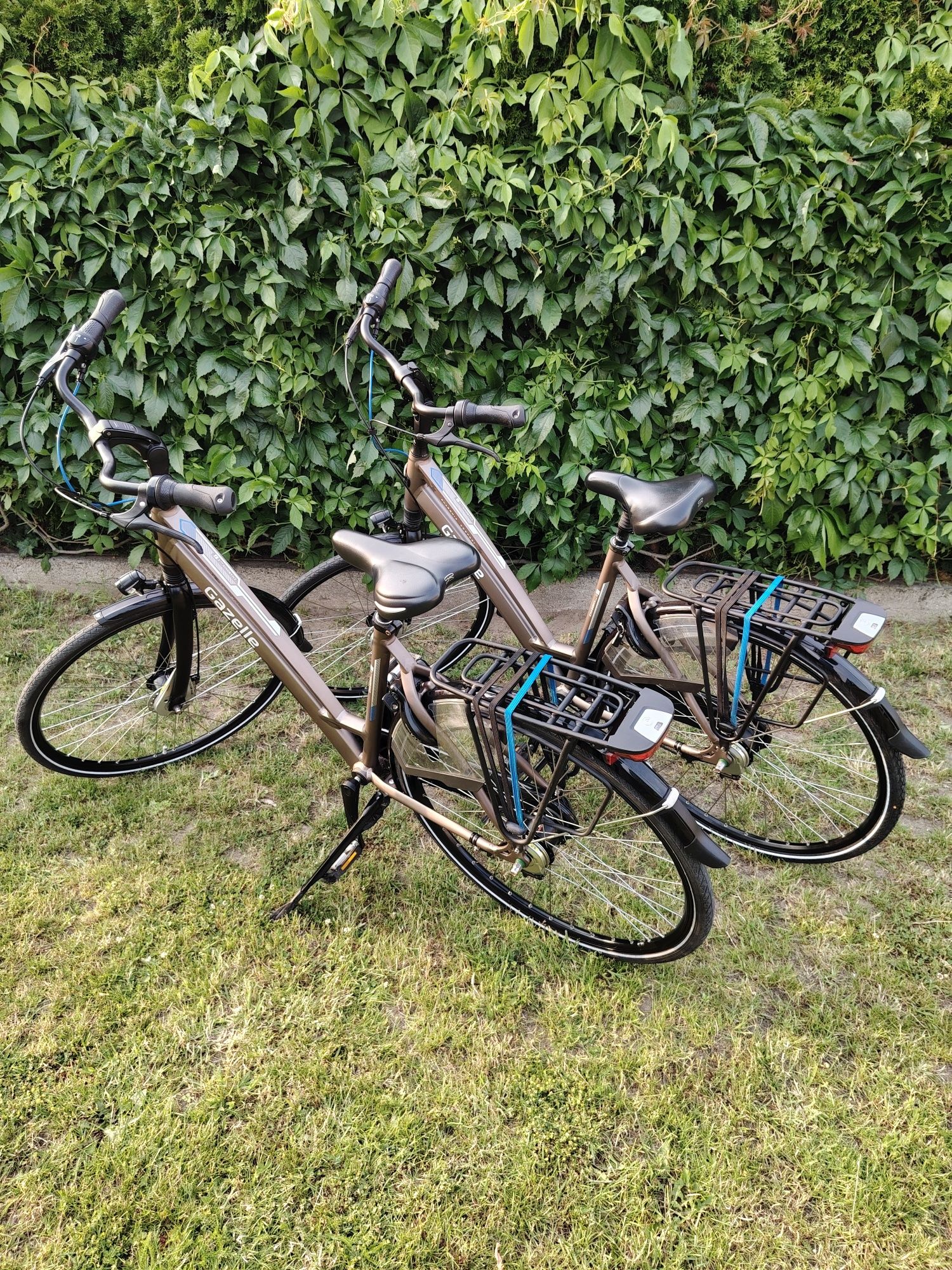Gazelle Chamonix C7