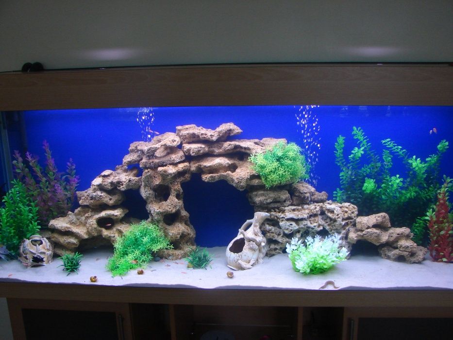 Аквариумы под заказ Киев