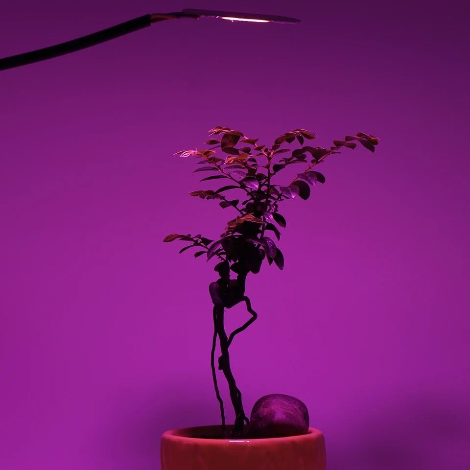 Led grow full spectrum dioda led cob 50w